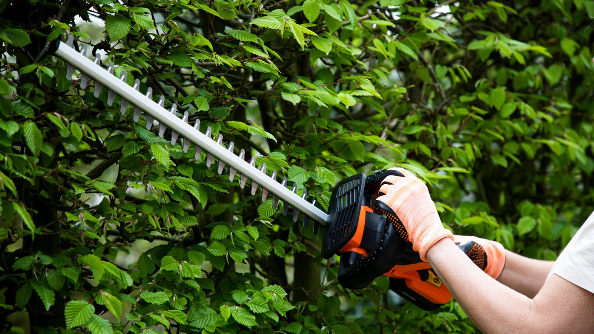 Outils Électroportatifs de Jardin