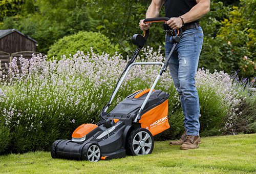 Lawnmower category tondeuse à gazon mulching gestion déchets verts