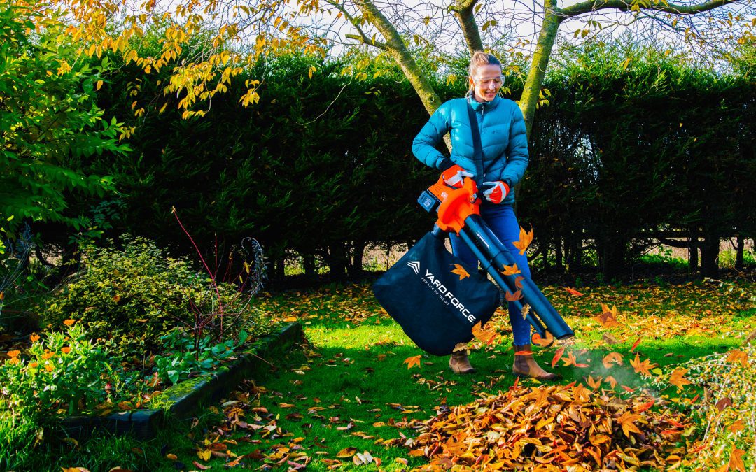 Préparer son jardin pour l’automne : astuces et conseils indispensables