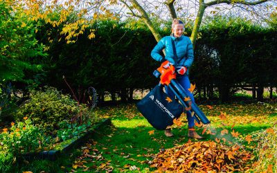 Préparer son jardin pour l’automne : astuces et conseils indispensables
