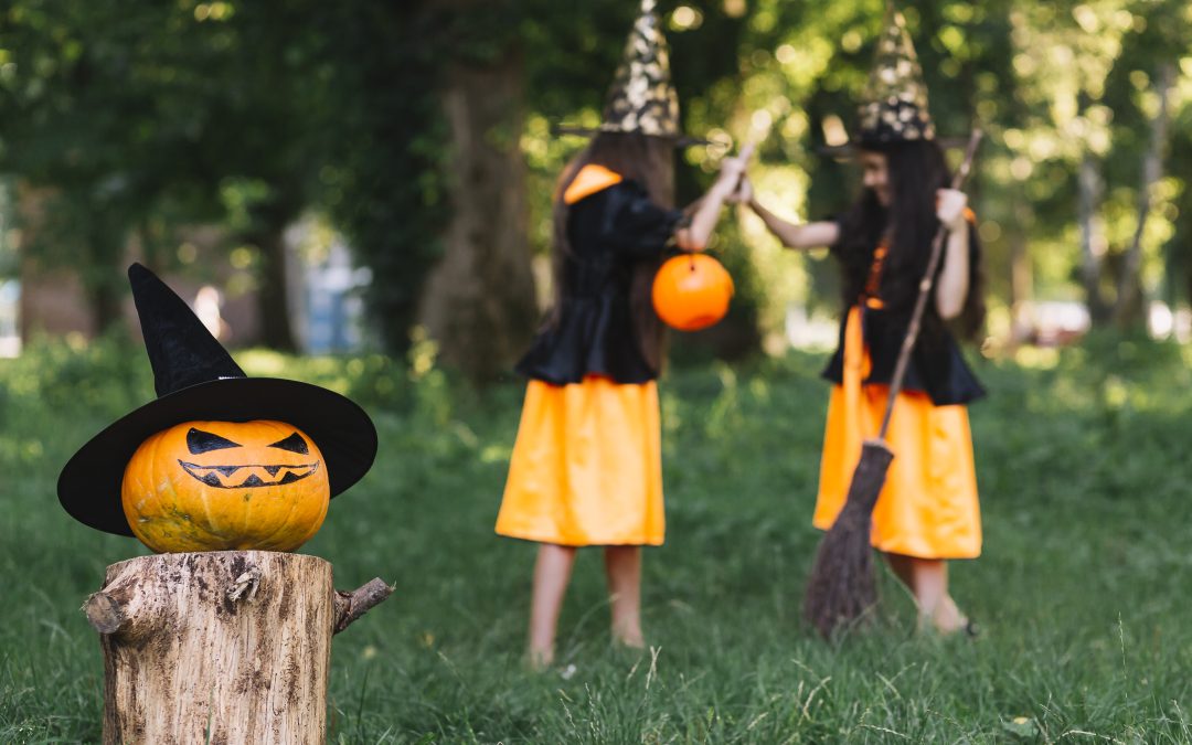 Déco Halloween jardin : des idées originales pour votre extérieur
